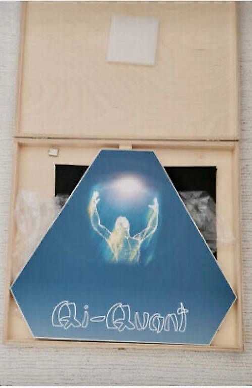 Figuren: Qi Quant Regenerationsplatte – Gebraucht aus Oberaach von balance06