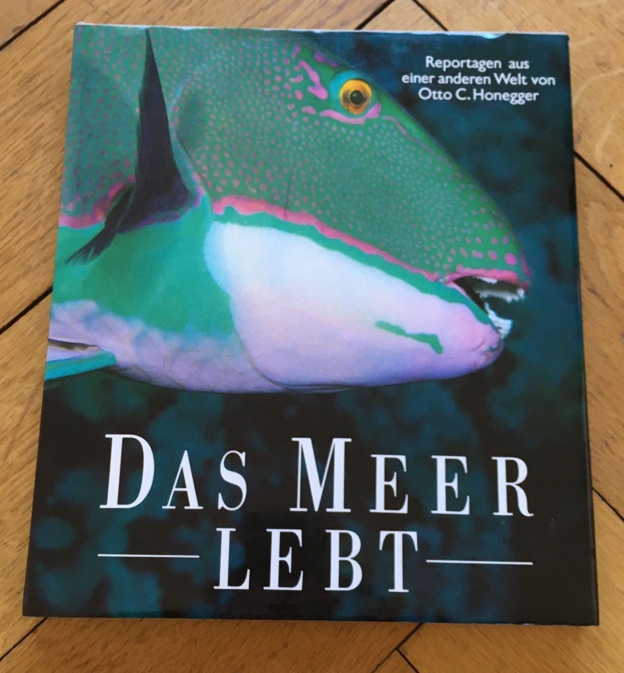 Libri: Das Meer lebt – Usato da Basel venduto da Ostschweiz06