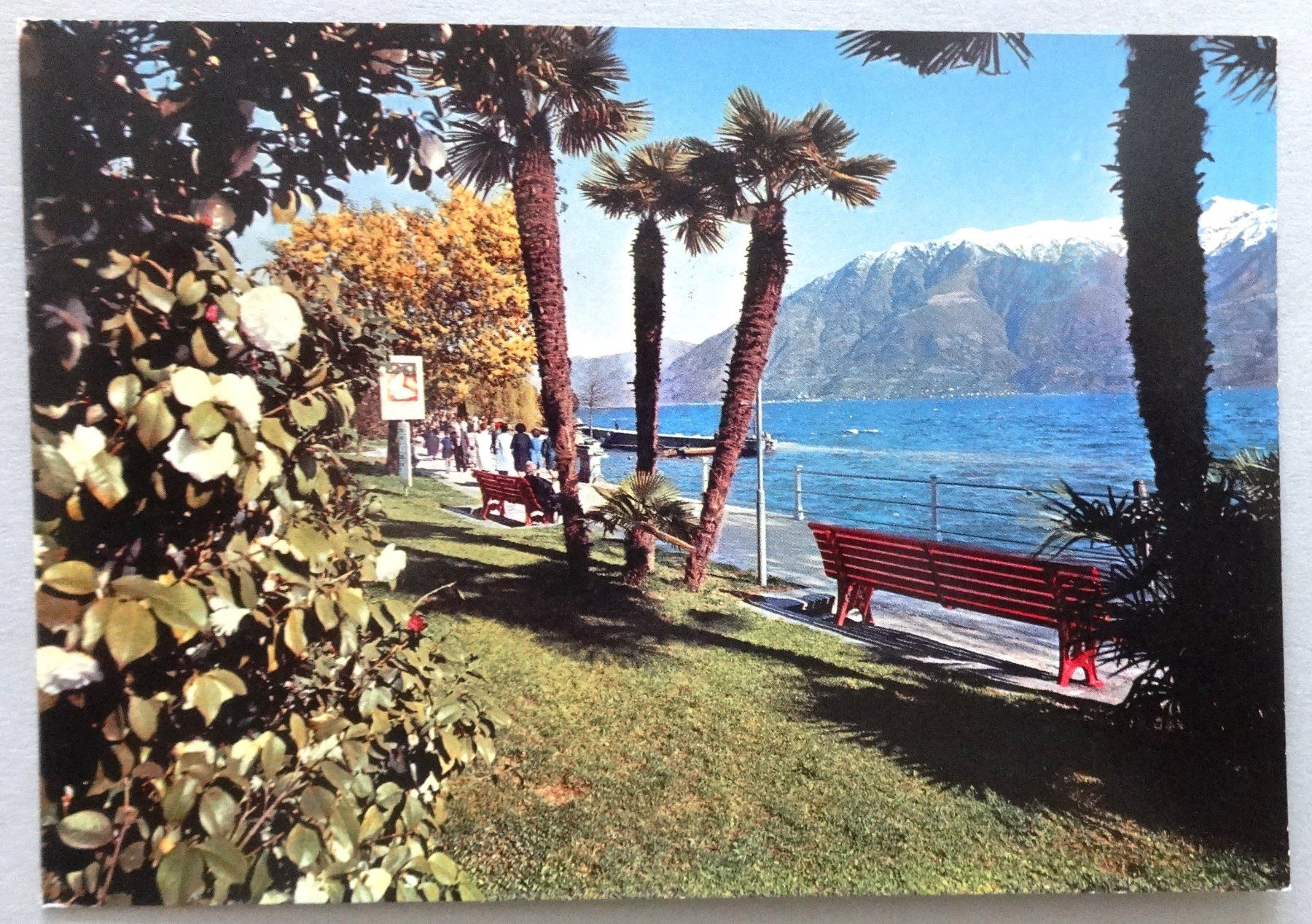 Cartes postales: Locarno - Muralto, Lago Maggiore – D'occasion à Fétigny par Billy2miny