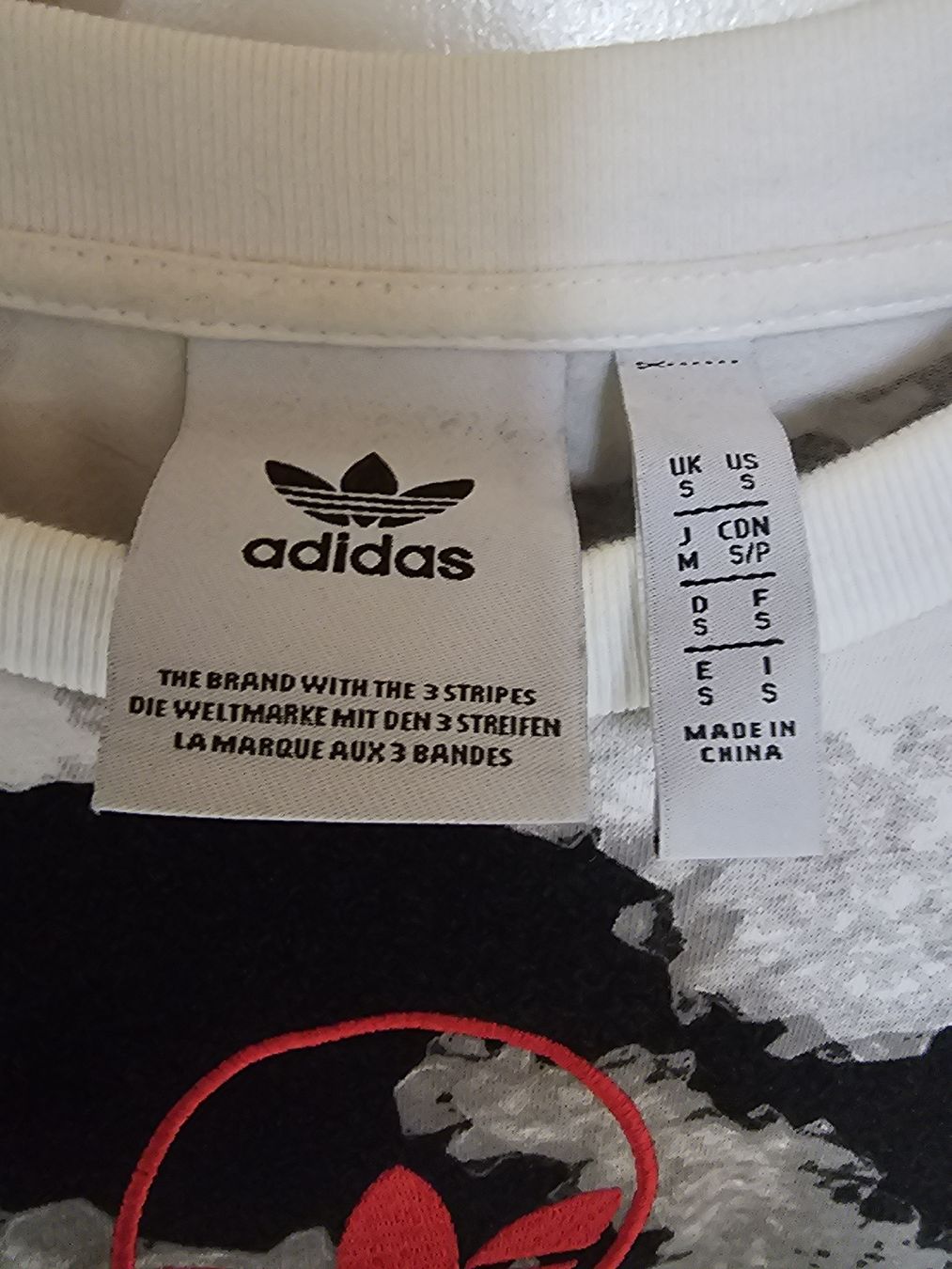 Adidas T-shirt: T-shirt Adidas Original – Usato da Monthey venduto da gae_22w9 2