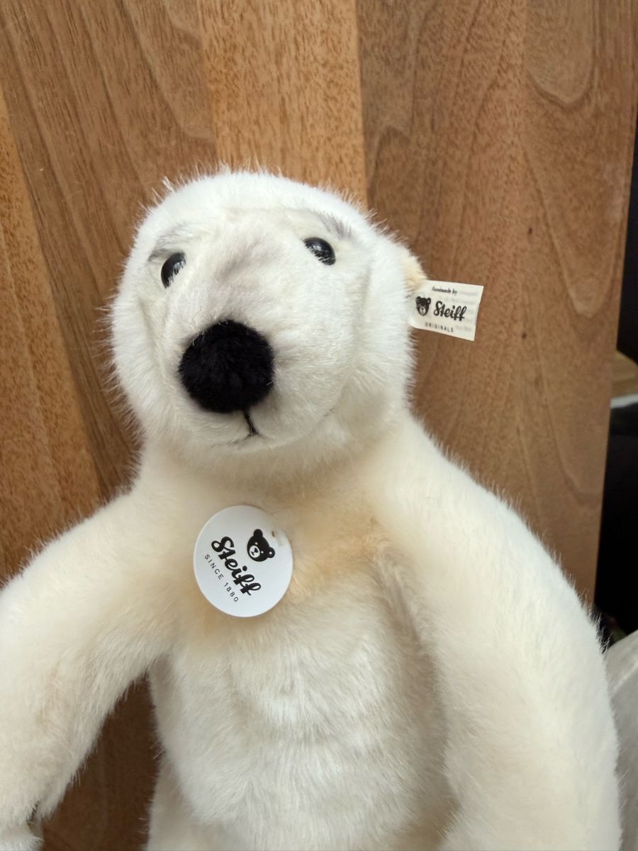 Steiff Giocattoli: Steiff Eisbär Original Plüschtier – Nuovo (secondo la descrizione) da Landquart venduto da vision22850 3