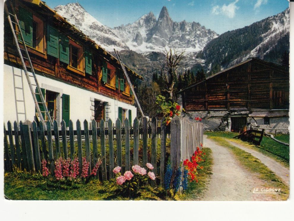 Cartoline postali: Champex 1981 – Usato da Bürglen TG venduto da StampGraf