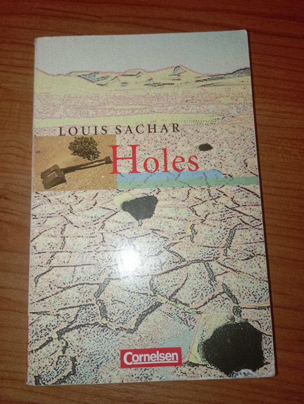 Livres: Schulliteratur Bücher Bundle – D'occasion à Schönenwerd par pat_2c7m 7