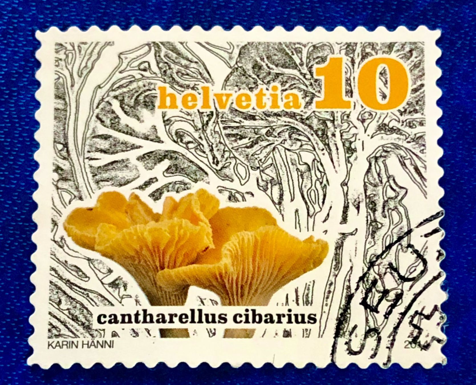 Tutti i francobolli: Nr.1503 Eierschwamm Dauermarken GESTEMPELT 2014    – Usato da Aarau venduto da Billa007