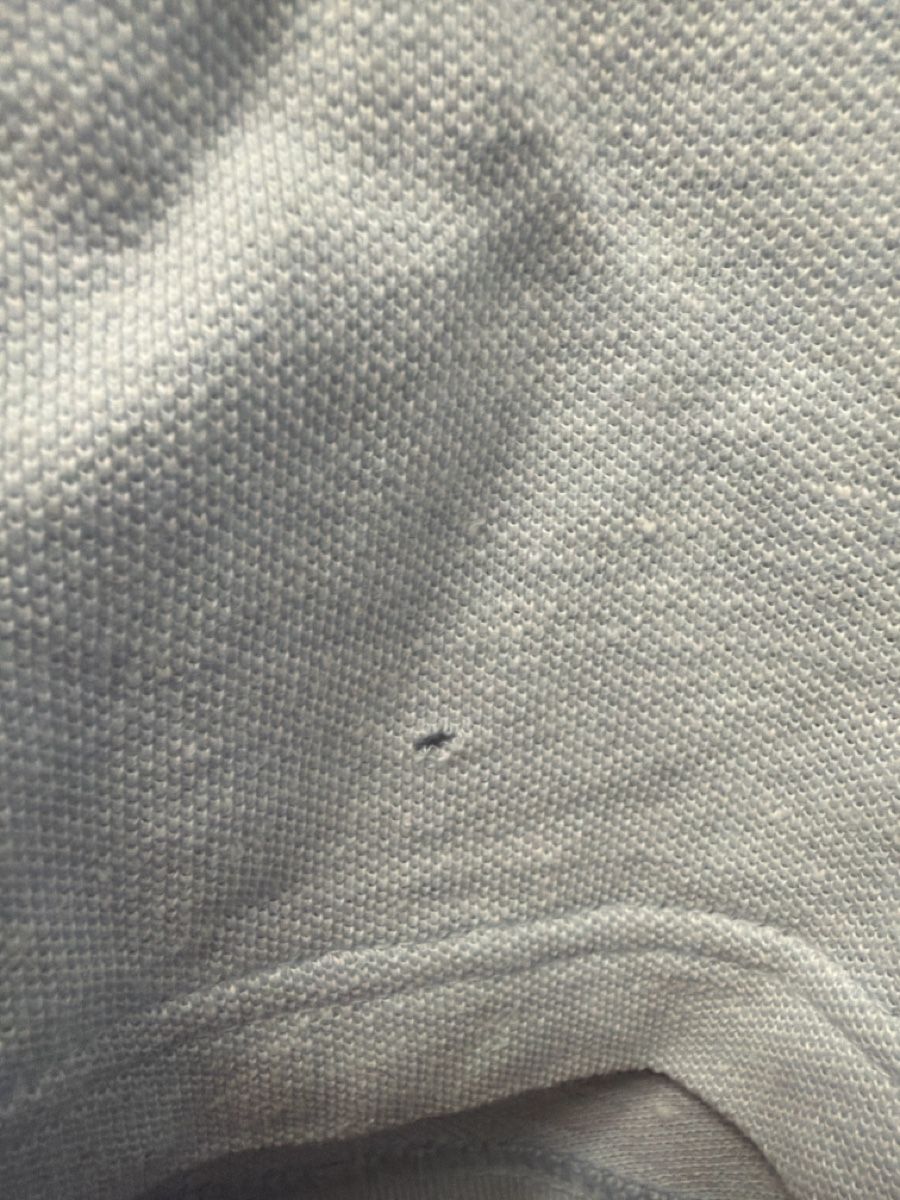Lacoste Magliette Polo: Lacoste Polohemd hellblau Grösse L – Usato da Meilen venduto da inanilus93 1