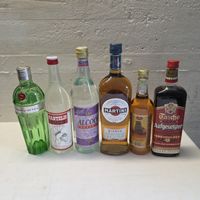 6x Diverse Flaschen Spirituosen  