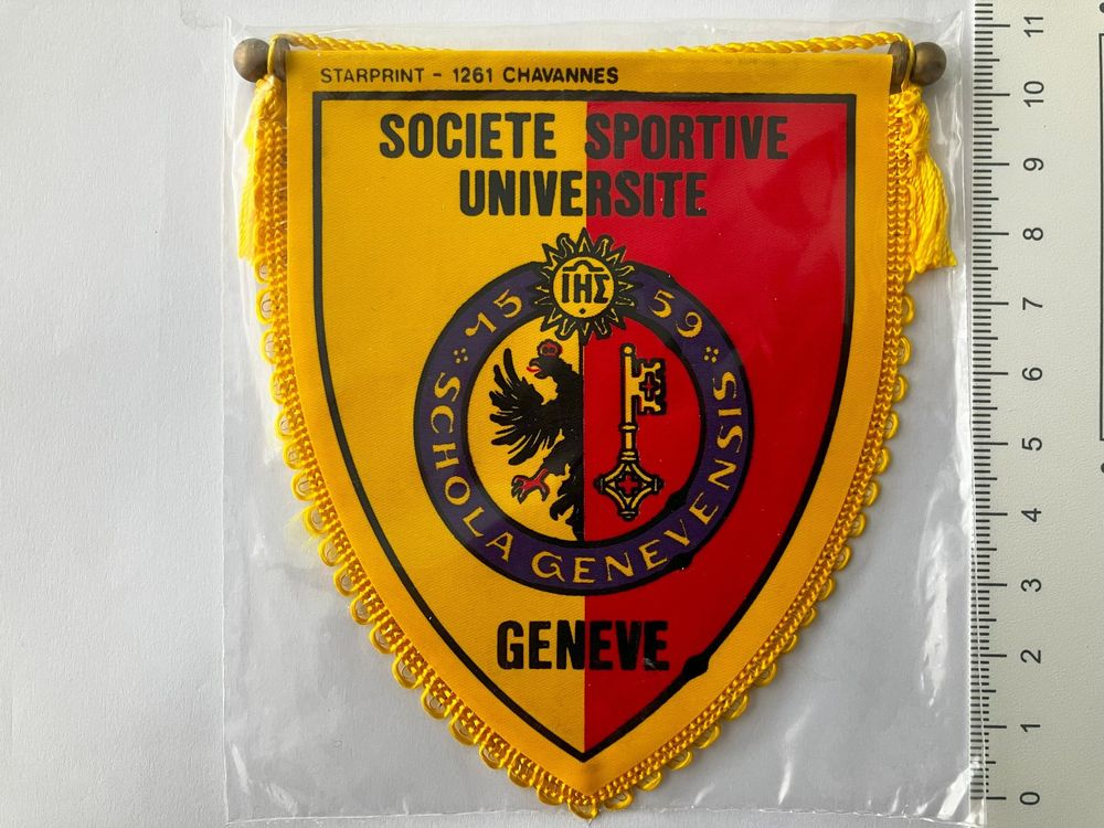 ancien petit FANION / WIMPEL PENNANT * TFC TOULOUDE FOOTBALL CLUB
