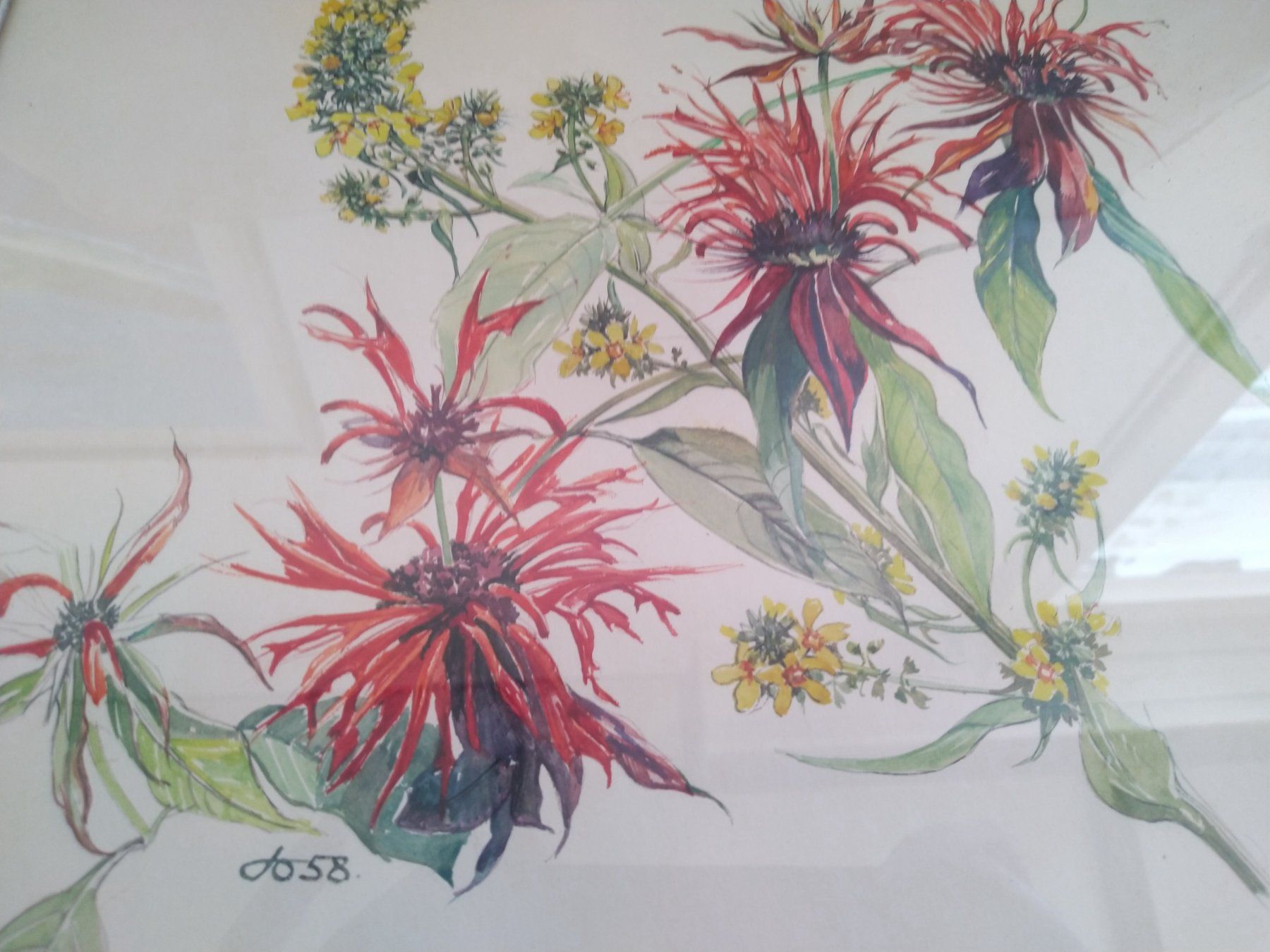Dipinti: Aquarell Flower Jo. 58 – Usato da Weggis venduto da cherry2000 7