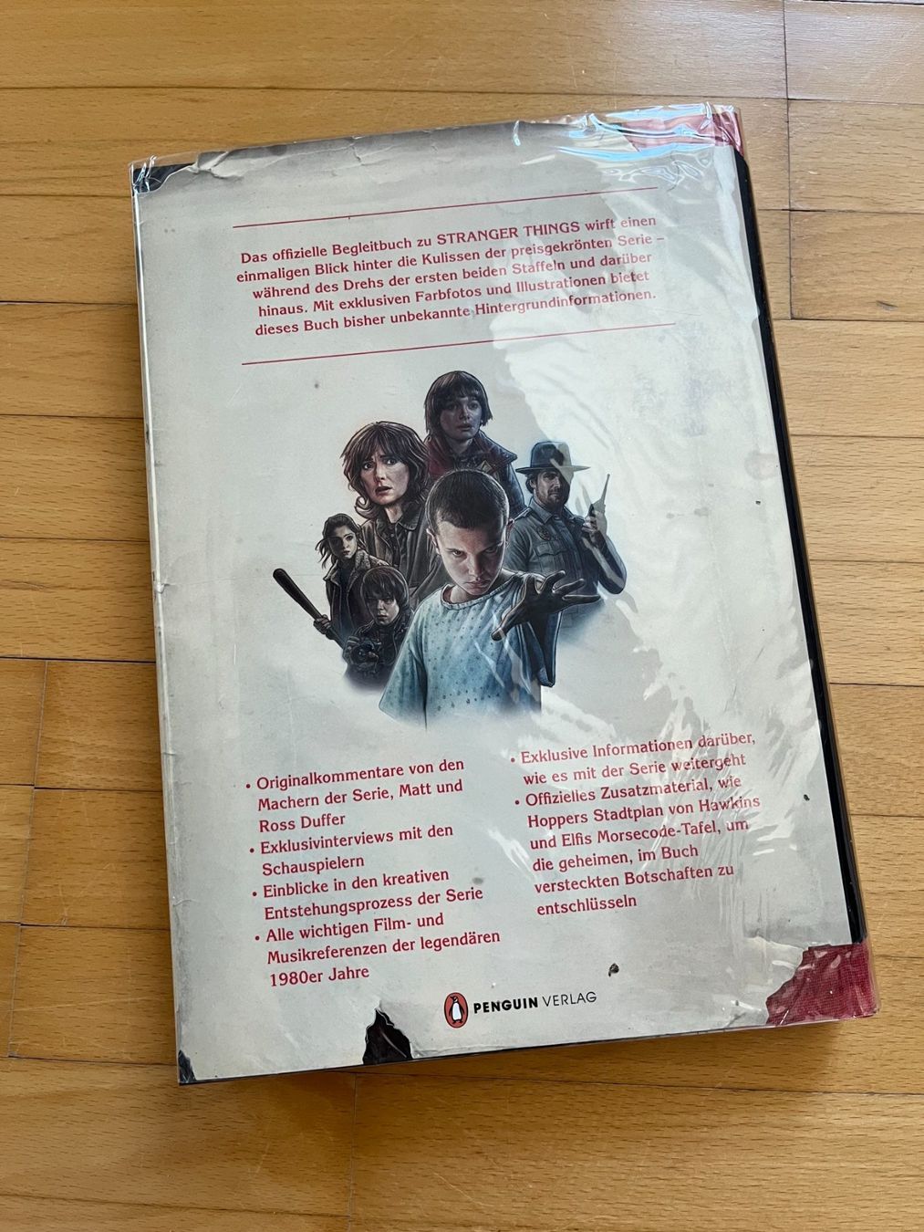 Libri: STRANGER THINGS: Das offizielle Begleitbuch, NETFLIX – Usato da Brugg AG venduto da Wavey 1