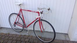 Renner KETTLER ALU RAD -  ALPHA SM - für 185/190er Leute
