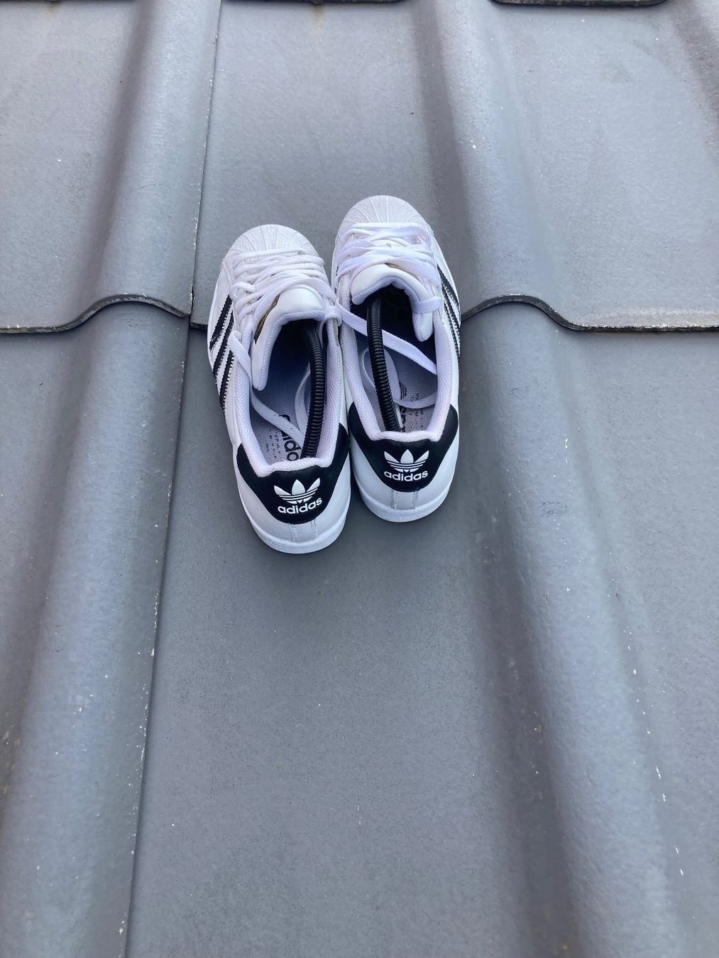 Adidas Herrenschuhe: Adidas – Gebraucht aus Dompierre FR von matmath 3