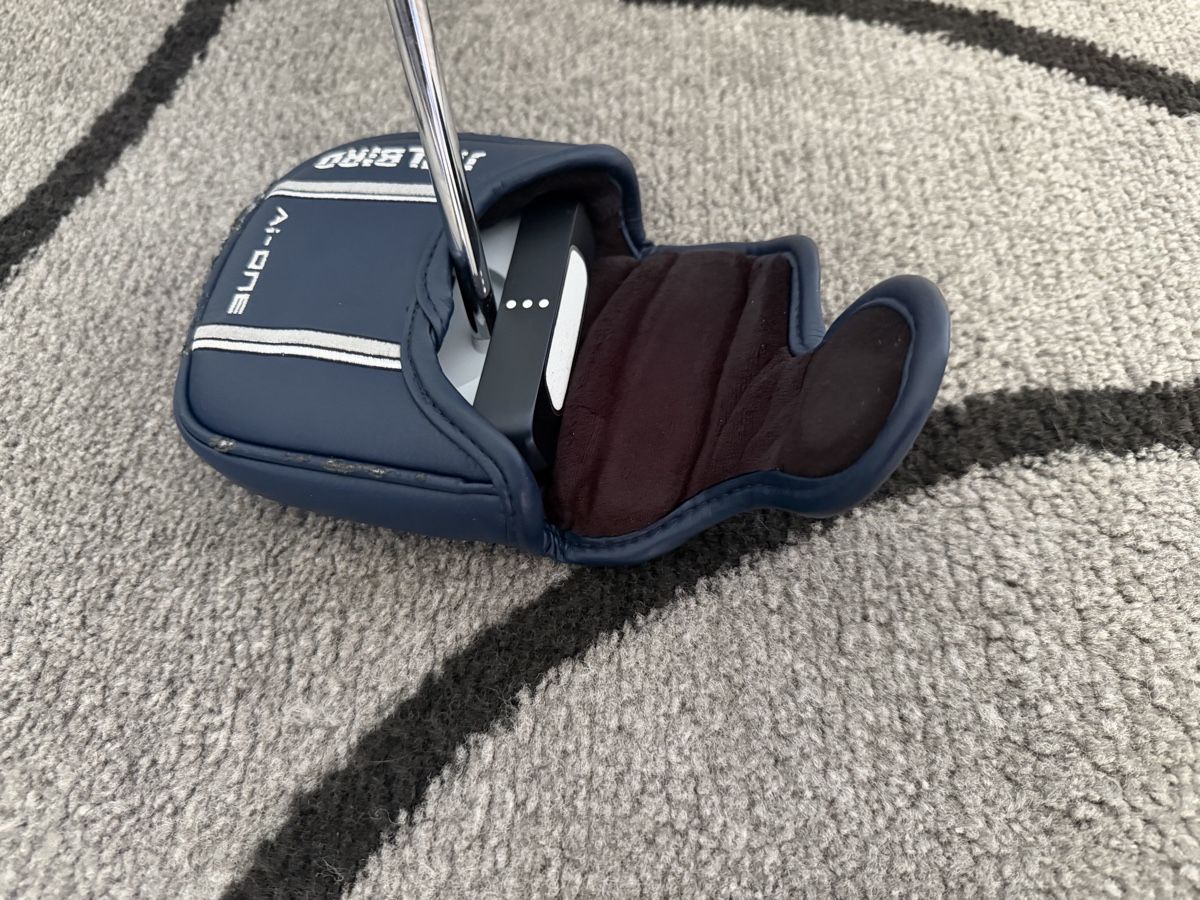Odyssey Schläger & Sets: Odyssey Ai-ONE Square 2 Square Jailbird Zero Torque 34” – Gebraucht aus Zürich von aus_r2dq 4
