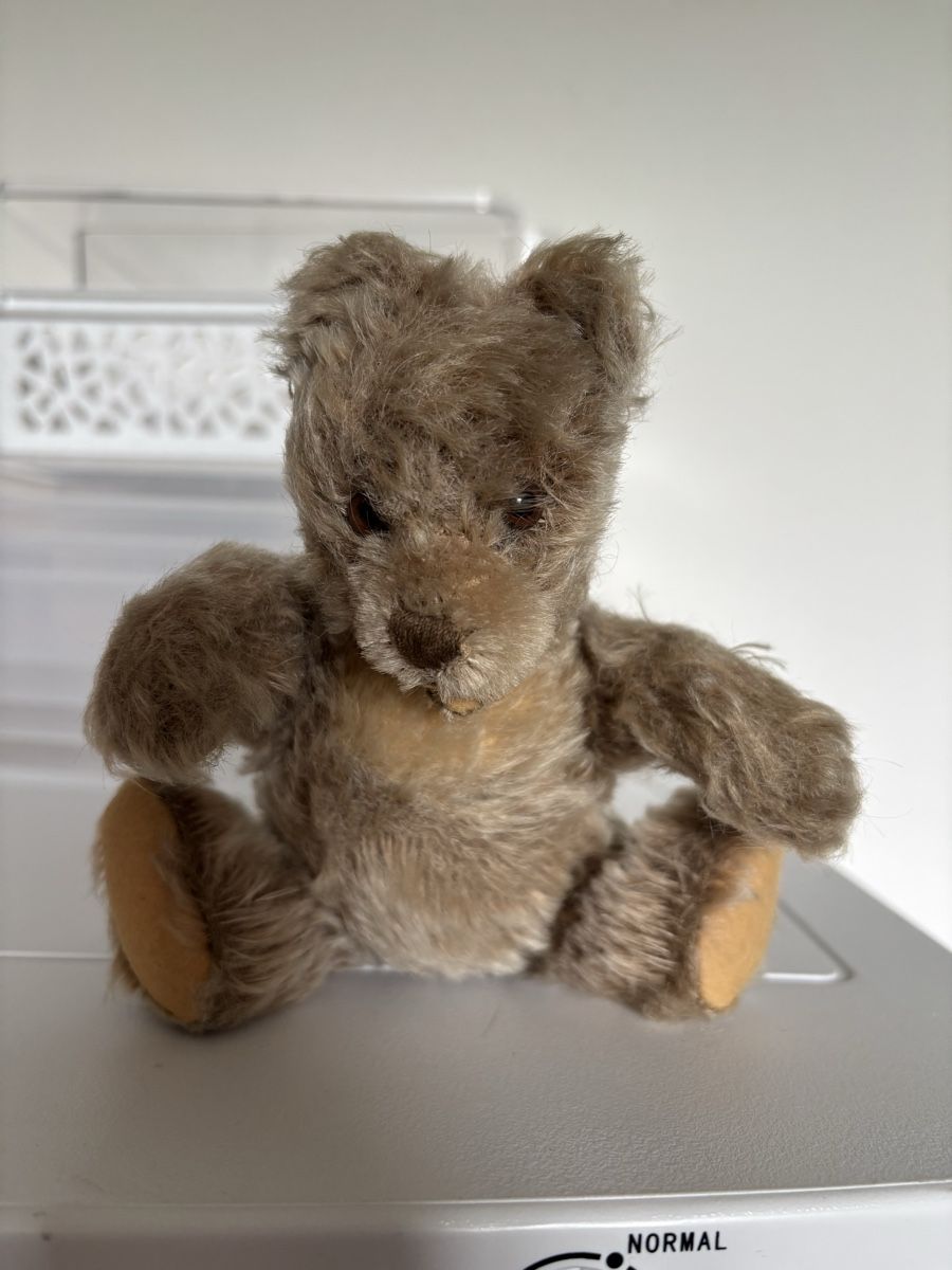 Steiff Giocattoli: Steiff Teddy antik – Usato da Lindau venduto da Mkey1