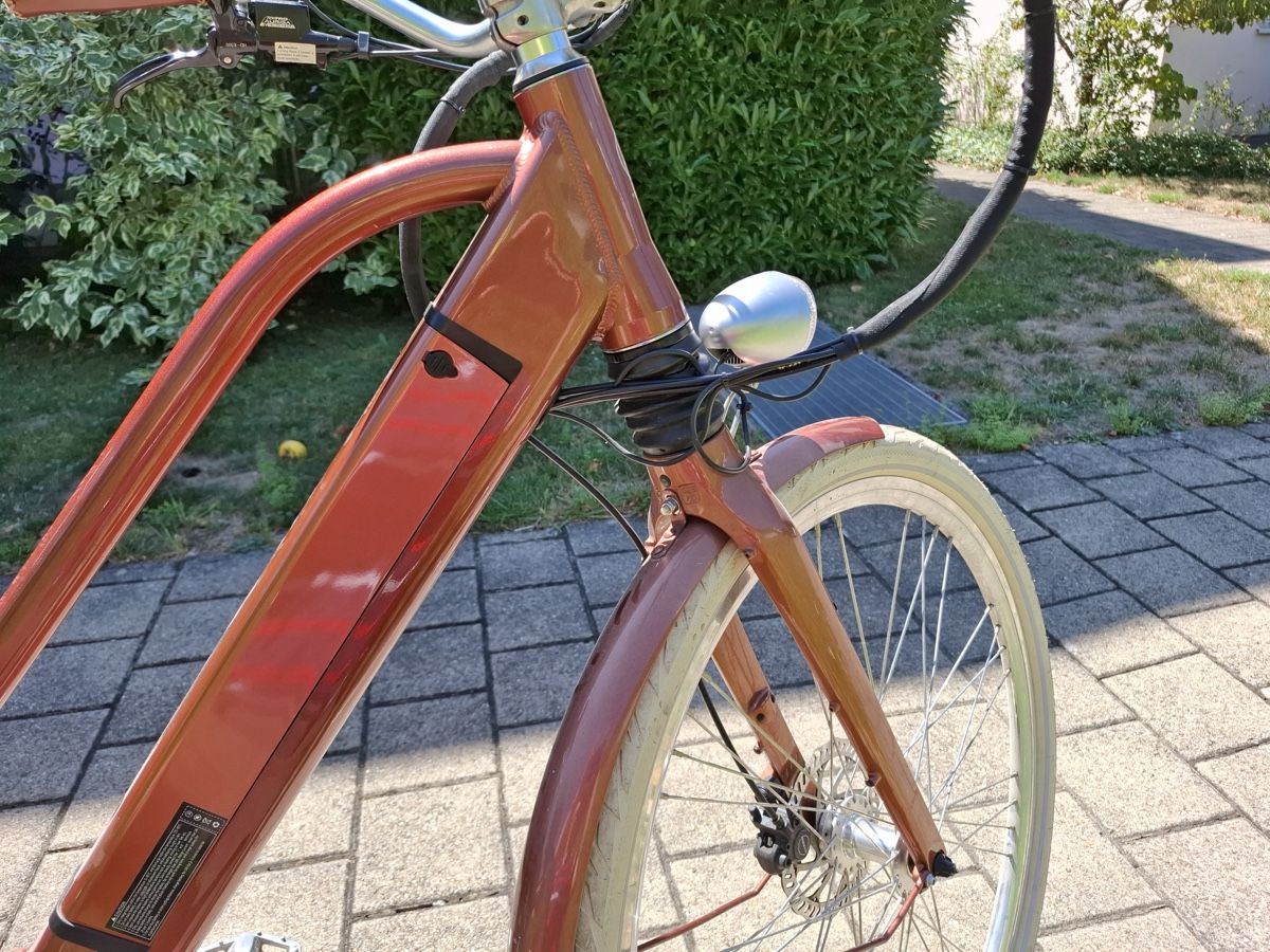 Ego Movement Vélos: Ego Movement Damen Ebike – D'occasion à Brüttisellen par FatPlaya 8