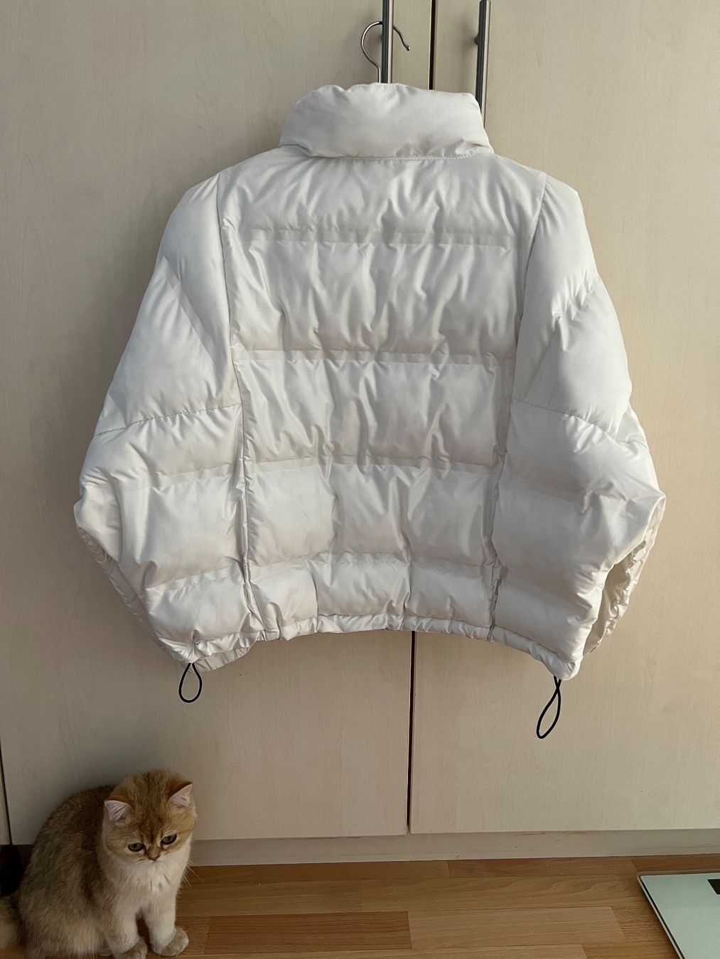 Mango Giacche: Anorak mango xs-s – Usato da Forel (Lavaux) venduto da julie13 3