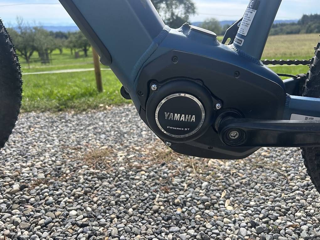 Wheeler Biciclette: Zwei E-Bike – Usato da Raperswilen venduto da pum_w8wc 2