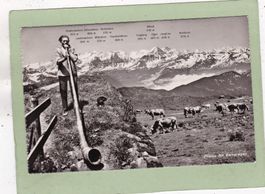 Pilatus mit Berneralpen Alphornbläser 1947