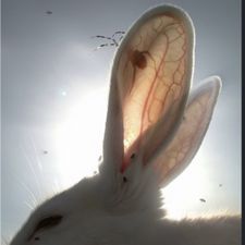 Profile image of gretaalouisaa