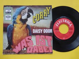 Daisy Door – Curry / Was Ist Dabei