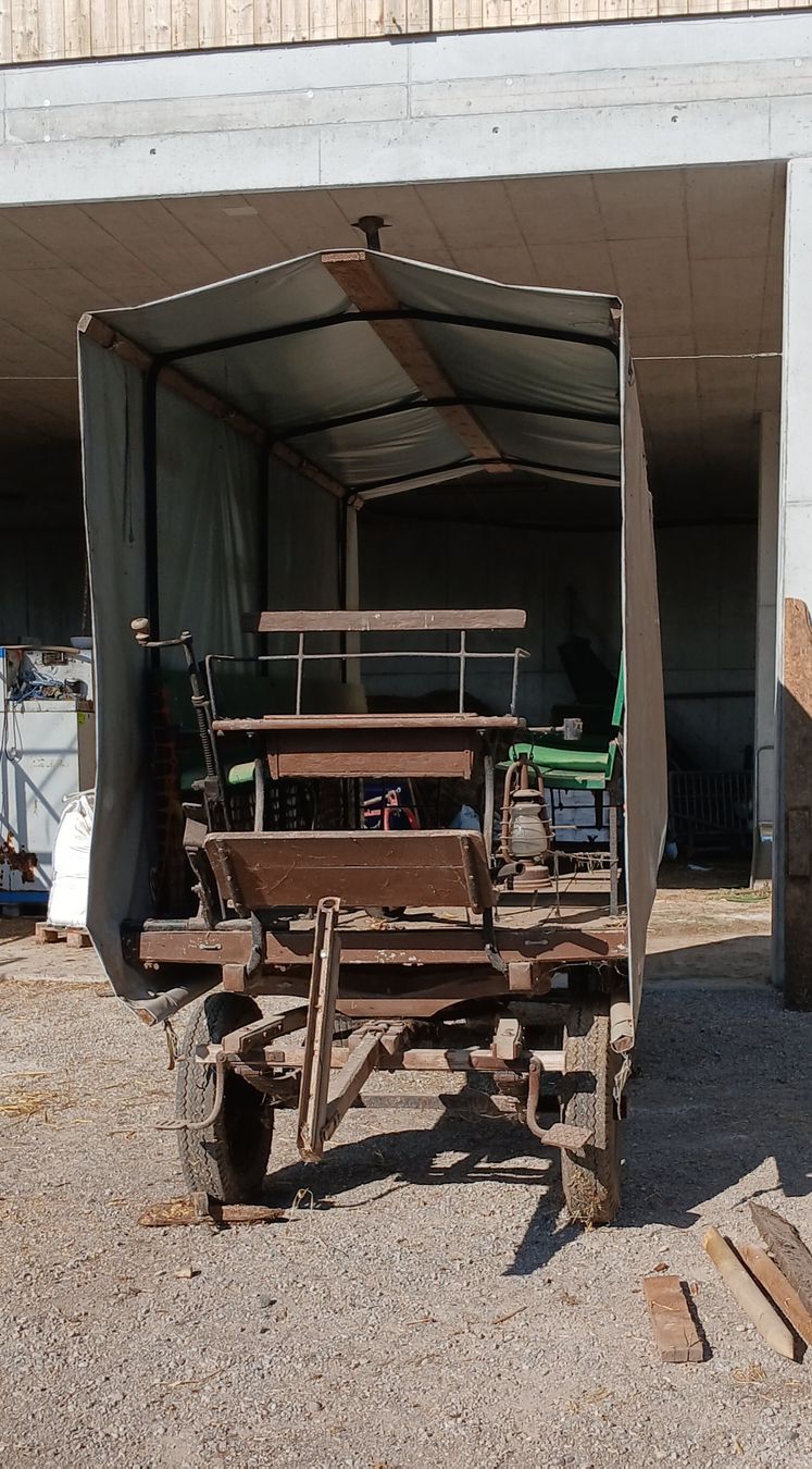Carrozze: Planwagen – Difettoso da Baar venduto da Willi10 2