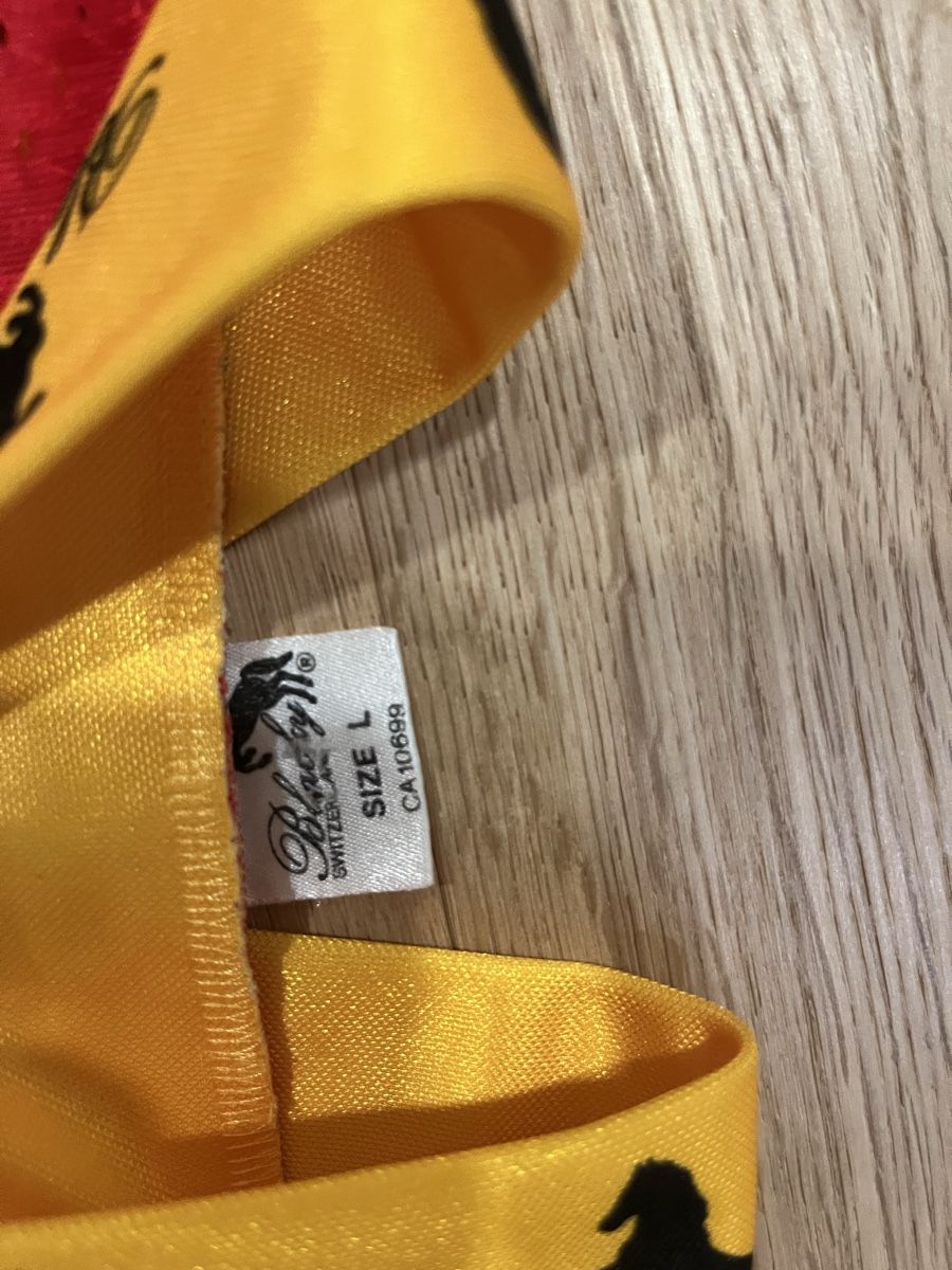 Canottiere & Pantaloni: SCB Trikot – Usato da Langnau i. E. venduto da Marco.Haberstich. 2