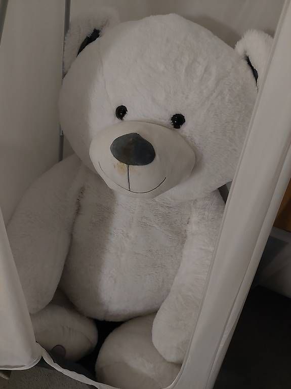 Spielzeuge: XXXL Teddybär (ca. 150cm) – Gebraucht aus Solothurn von maevren