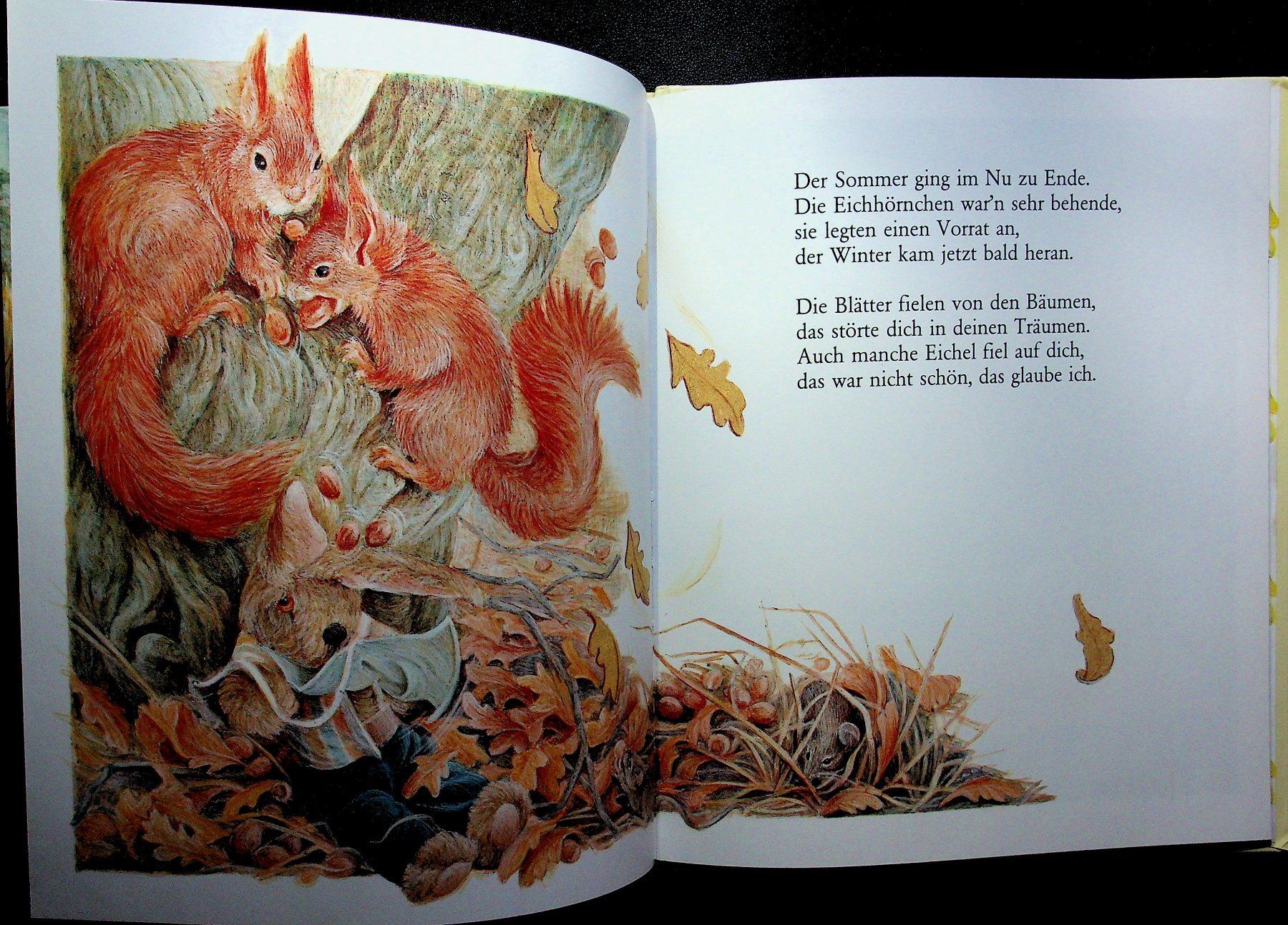 Bücher: Alison Catley Herr Hase war auf einmal weg! – Gebraucht aus Reitnau von Zaomir 6