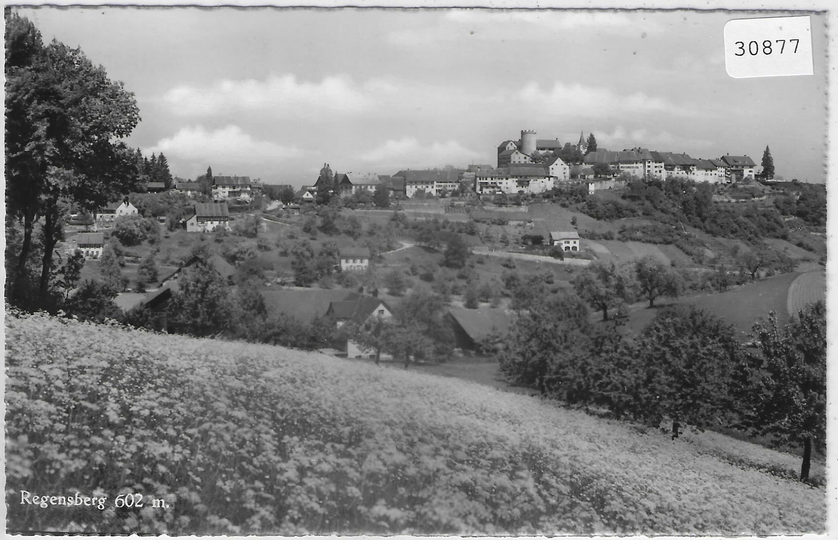 Cartoline postali: Regensberg - Generalansicht – Usato da Ettingen venduto da Kartenplanet