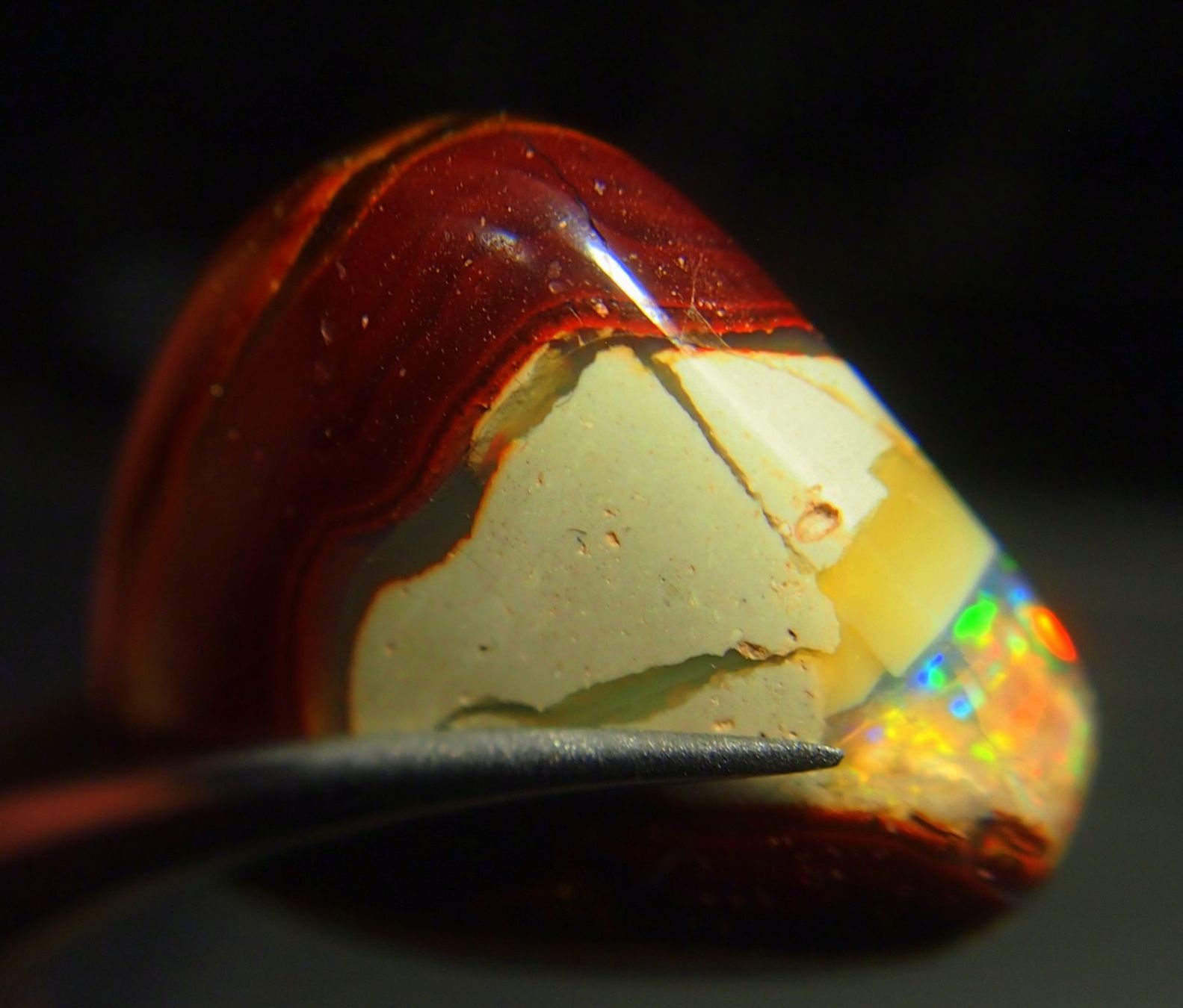 Pietre preziose: 34,6 ct. Koroitopal mit Opalfunken AAA! – Nuovo e nell'imballaggio originale da Reinach BL venduto da blumarco 2