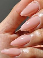 Profi-Set Shellac
