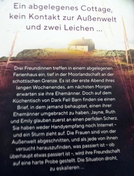Livres: Ein langes Wochenende von Gilly Macmillan – D'occasion à Wetzikon ZH par strubeli024 1