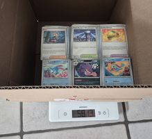 Pokemonbulk englisch mit holos/reverse holos