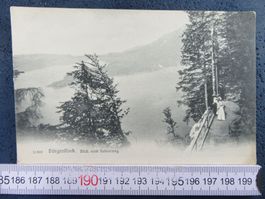 BÜRGENSTOCK FELSENWEG BELEBT ONW AK