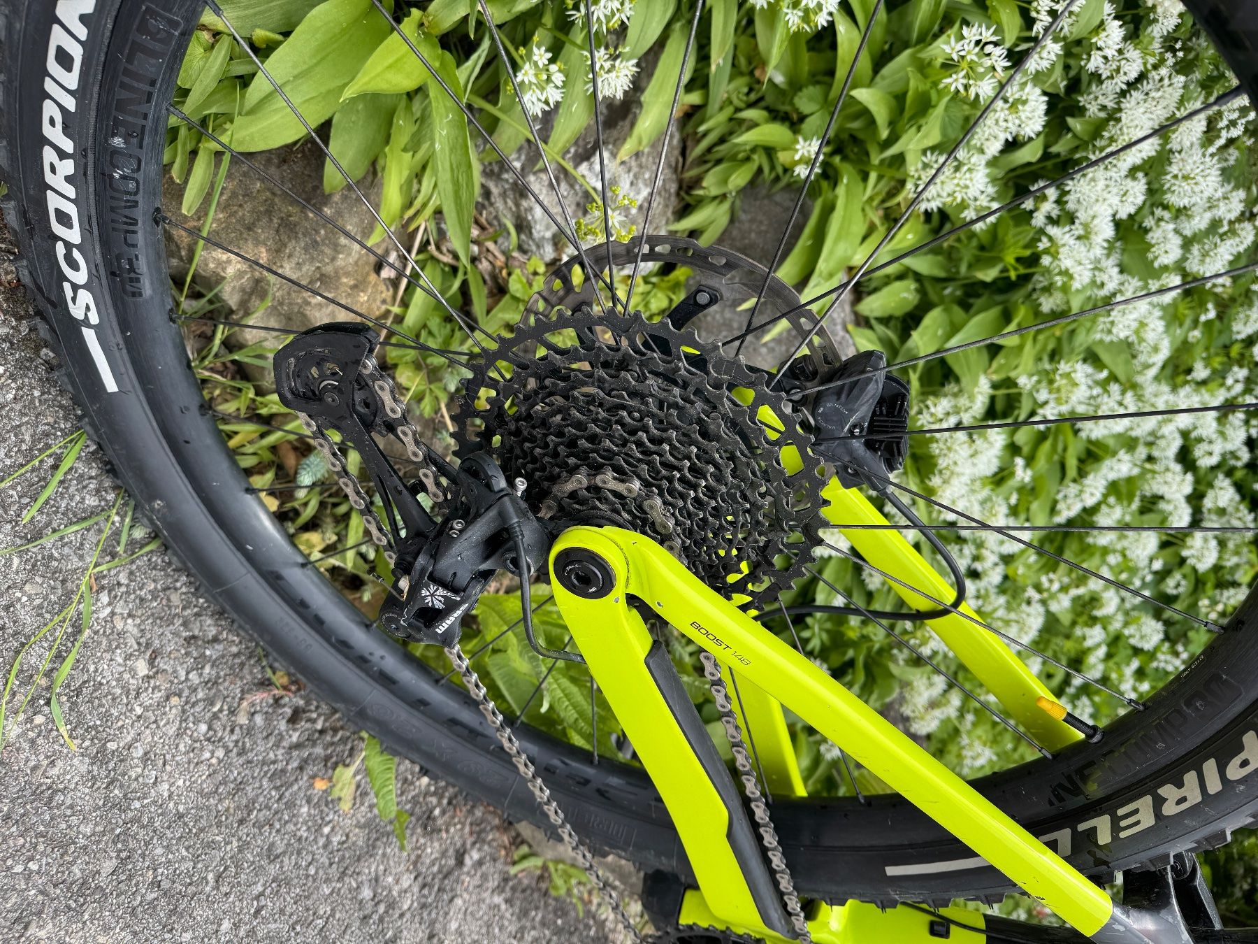 Trek Vélos: Hochwertiges e-MTB Trek Rail 9.7 / Carbon – D'occasion à Marly par Gibi1 4