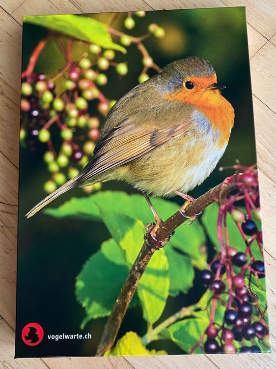 MyPuzzle 1000 Teile 'Rotkehlchen' – Premium-Puzzle, 68x48 Cm, Von Æpyornis, Klimakompensiert Produziert