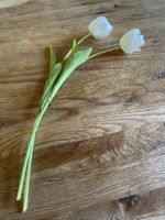 Tulpen weiß