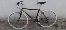 City Bike Gary Fisher revidiert und ab Service