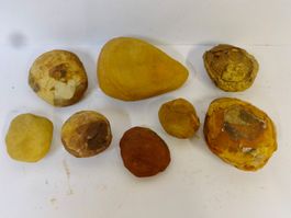 ungeöffnete Knollen EISENSTEIN FOSSIL MAZON CREEK USA