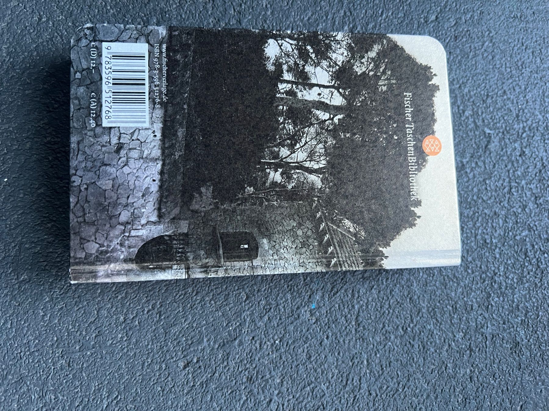 Libri: Marina Carlos Zafon – Nuovo (secondo la descrizione) da Novaggio venduto da seri00 1