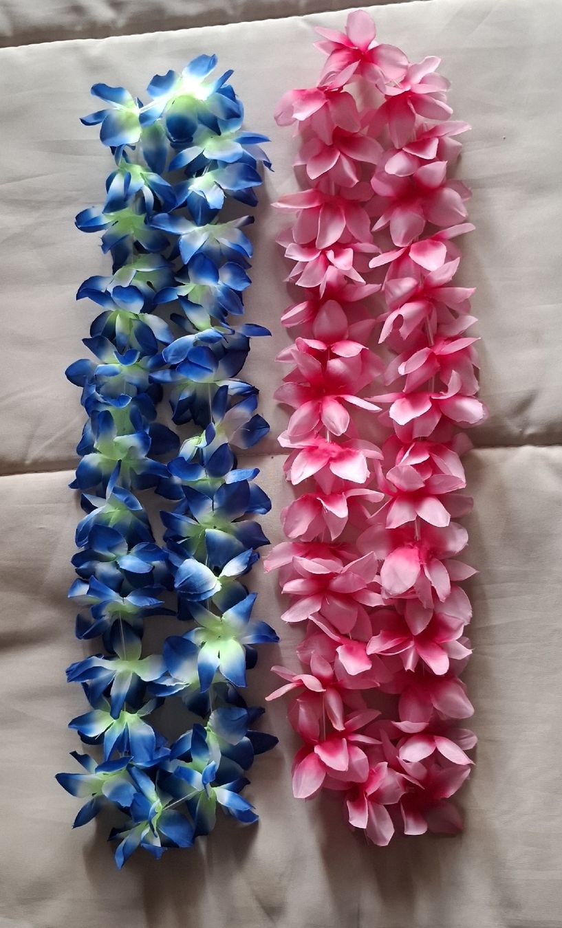 Pflanzen & Samen: 2 Hawaii Blumenketten – Gebraucht aus Dietikon von Hirschkopf 3