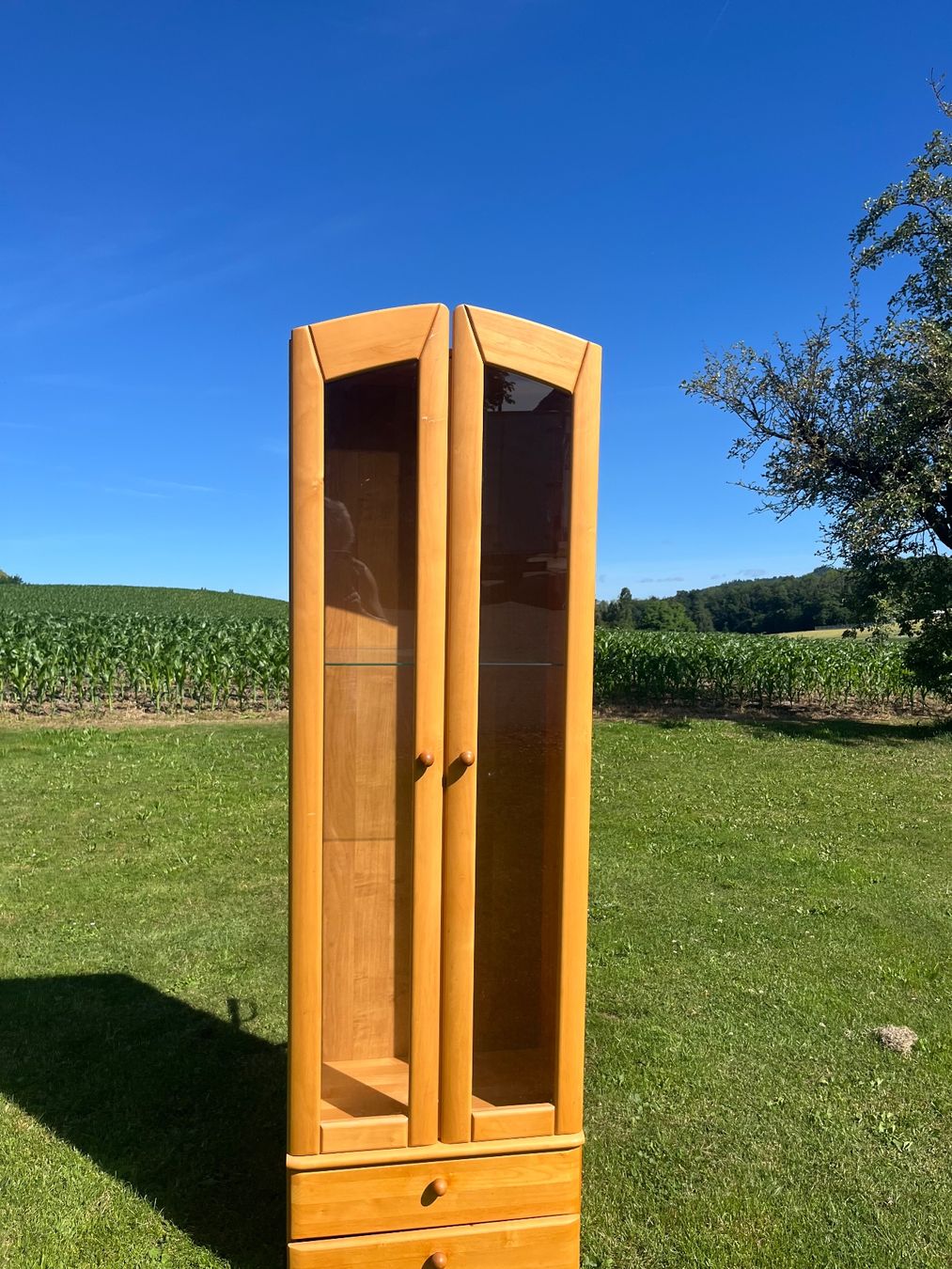 Vetrine: Vitrine 2 Türig mit Lampe ohne Kabel – Usato da Allmendingen b. BE venduto da juair 5