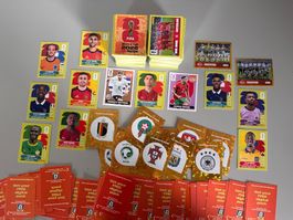 480 PANINI STICKERS + 2 EXTRA STICKERS