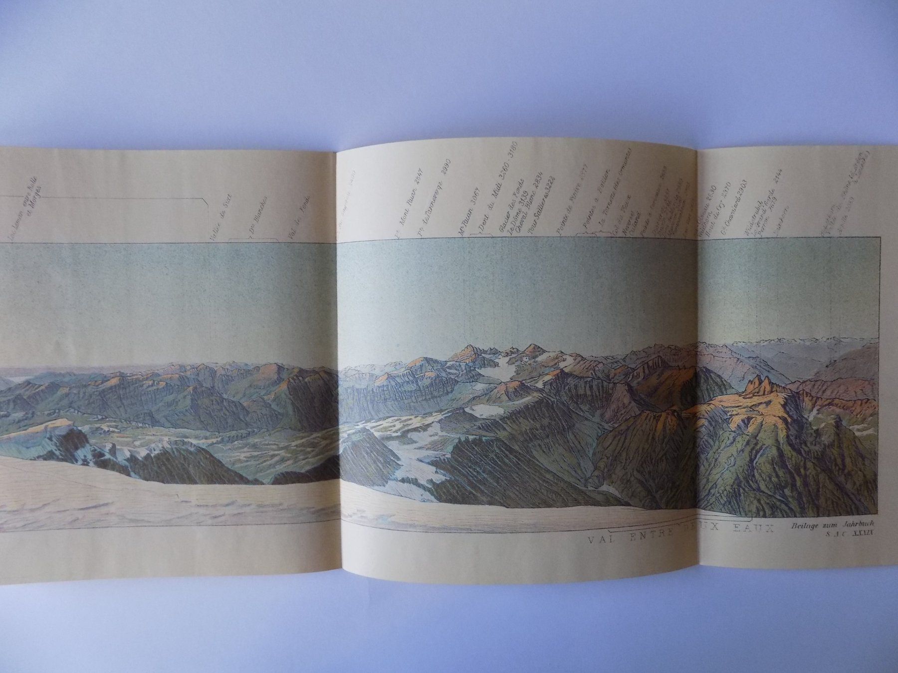 Incisioni: Panorama vom Mont Buet 1904 – Usato da Risch venduto da Antikfee 4