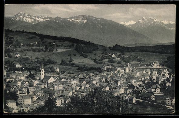 Cartoline postali: Wald /Zürich, Panorama der Ortschaft mi – Usato da Berlin venduto da bartko-reher
