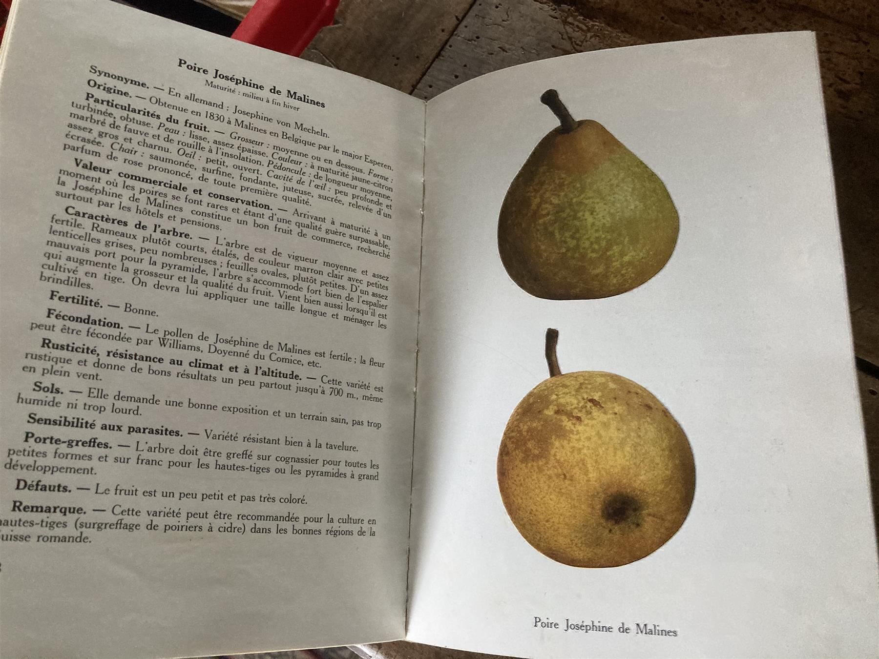 Libri: 1937 Nouvelle Pomologie romande illustré – Usato da Bern venduto da Jwpm66 2