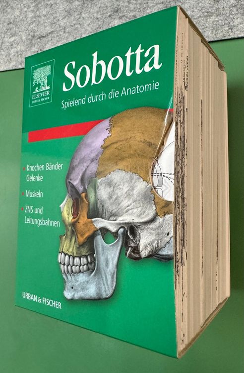 Sobotta: Atlas der Anatomie des Menschen 4
