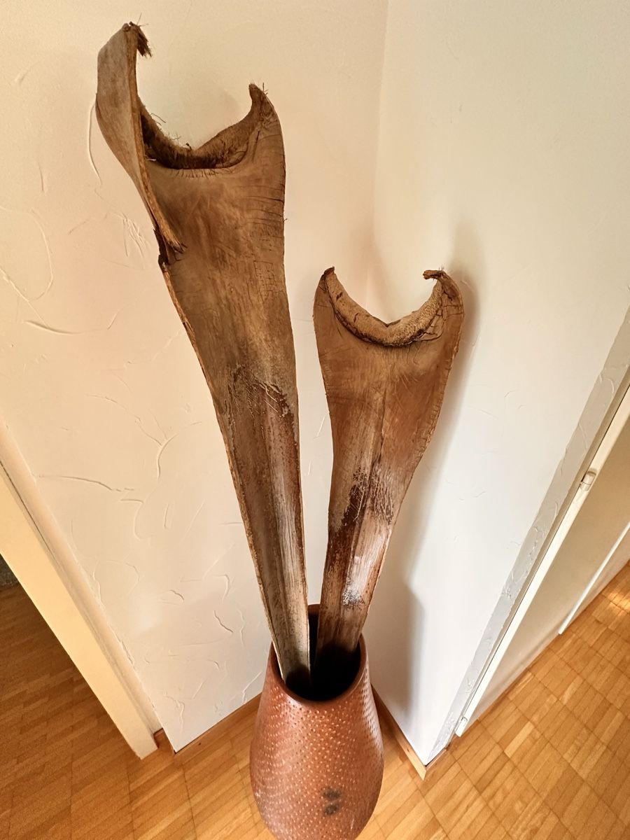 Vasi & Recipienti: Vase terre cuite 80cm – Usato da Villars-Tiercelin venduto da pava13 2