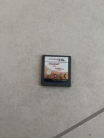 nintendo ds imagine artist