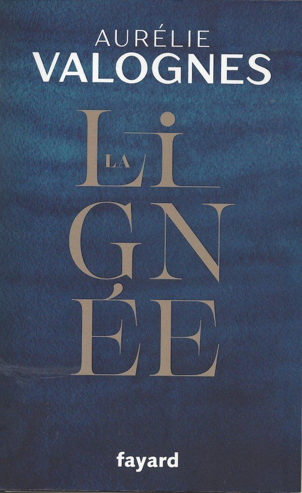 Bücher: La Lignée d’Aurélie Valognes - 2024 – Gebraucht aus Courtepin von Fin_dj7p