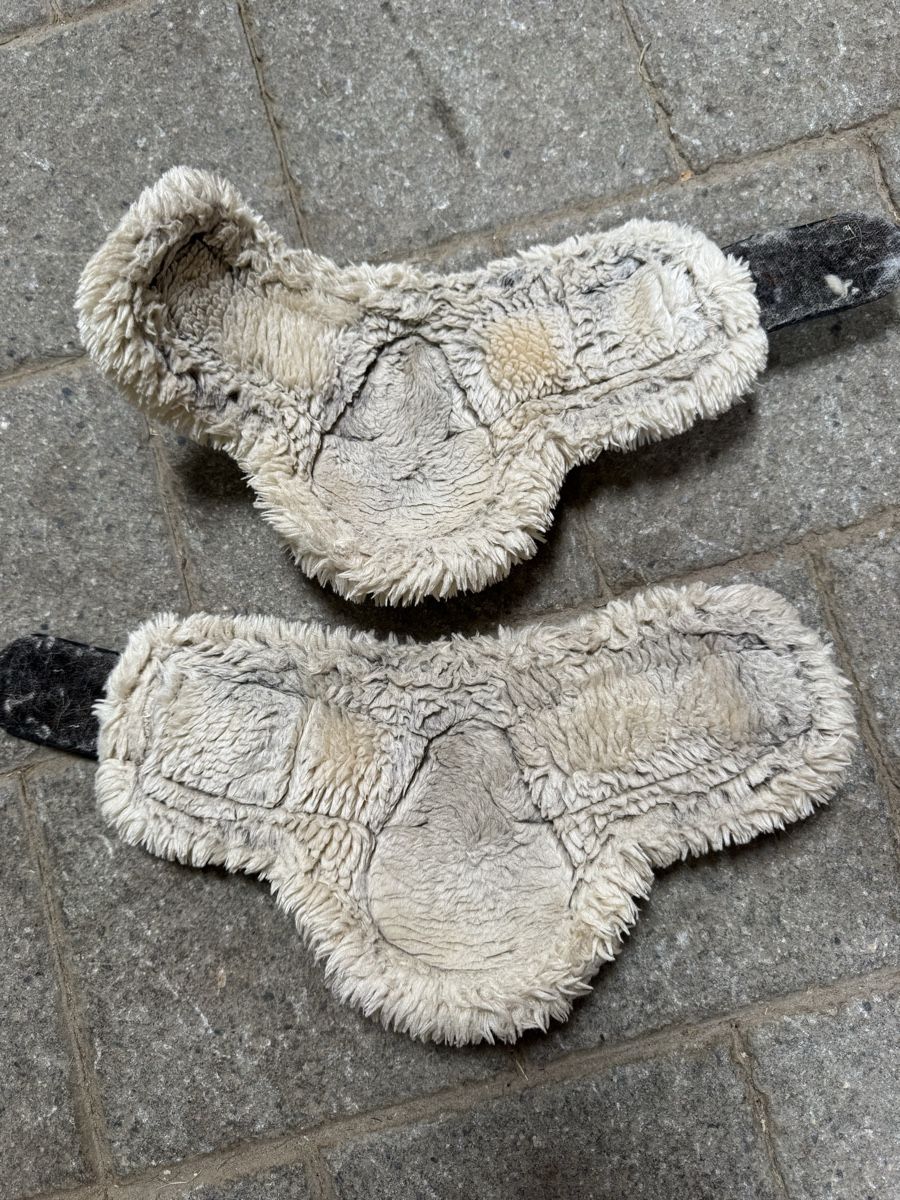 Eskadron Gamaschen & Bandagen: Streichkappen Eskadron  – Gebraucht aus Baar von evs_2ybk 2